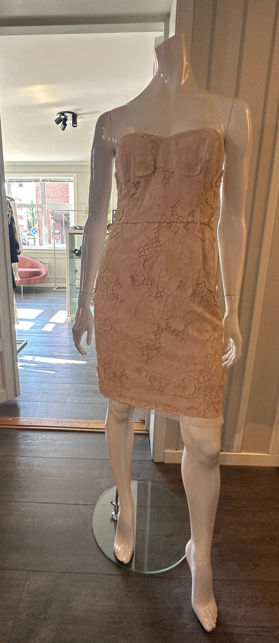 Festkjole fra BCBG Max Azria